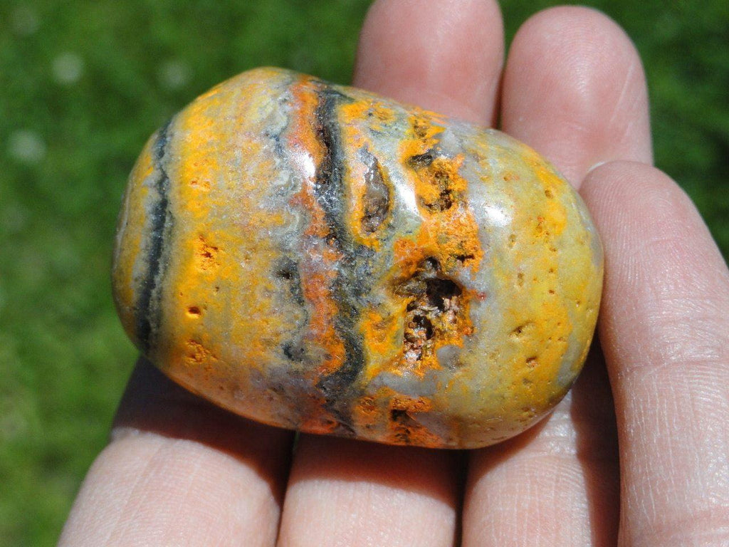 BUMBLE BEE JASPER PALM STONE~ Stone of  Telepathic Communication - Earth Family Crystals