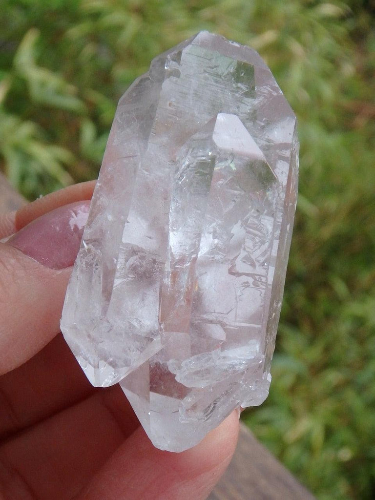 Incredible Arkansas Multi DT Clear Quartz Point Cluster - Earth Family Crystals
