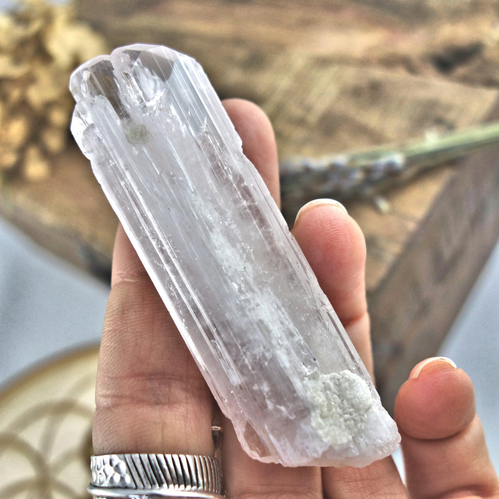 Lustrous Gemmy Multi Point Pink Raw Danburite From Mexico - Earth Family Crystals