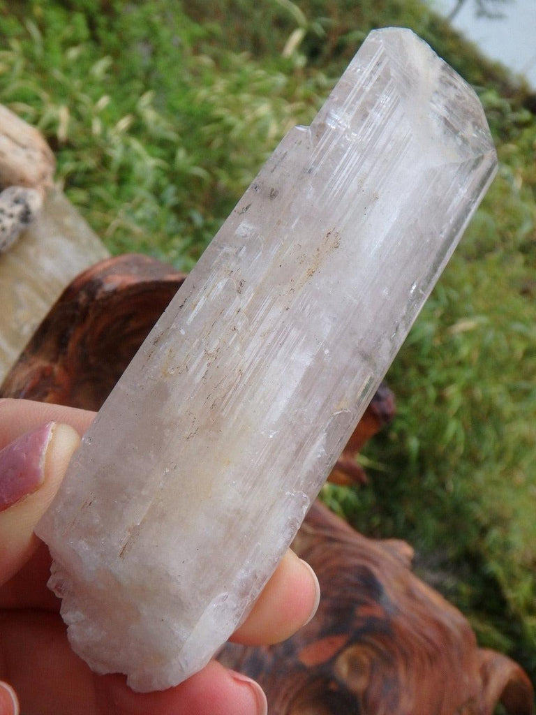 Luscious Soft Pink Danburite Point With Internal Pyrite Inclusions - Earth Family Crystals