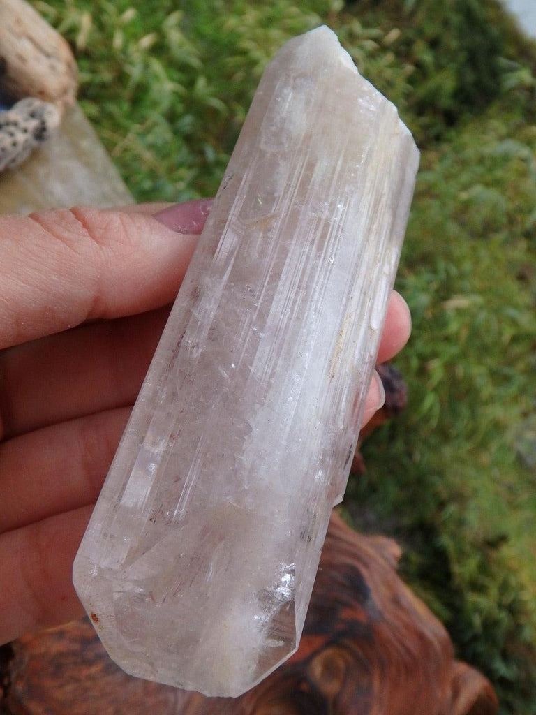 Luscious Soft Pink Danburite Point With Internal Pyrite Inclusions - Earth Family Crystals