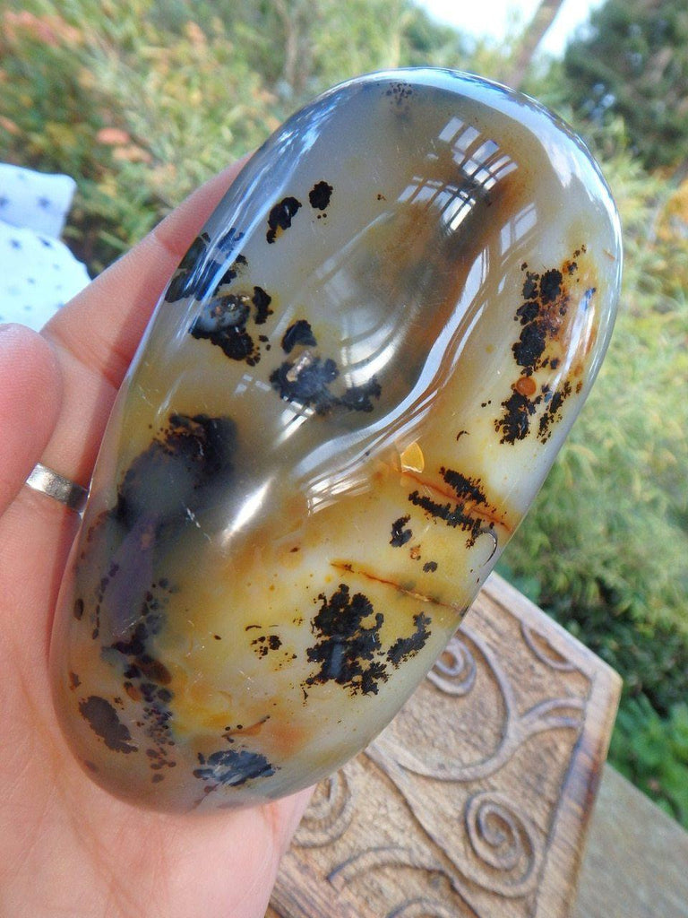 Druzy Cave Fascinating Patterns Dendritic Agate Polished Specimen - Earth Family Crystals