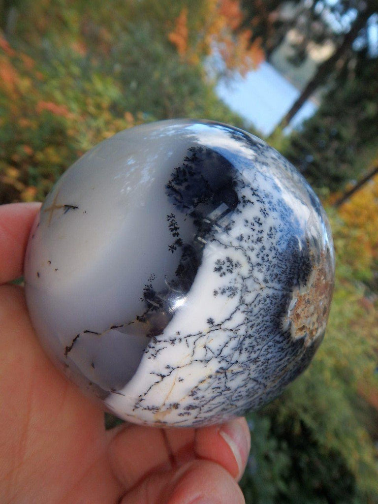 Amazing Contrast Large Dendritic Agate Sphere Carving - Earth Family Crystals
