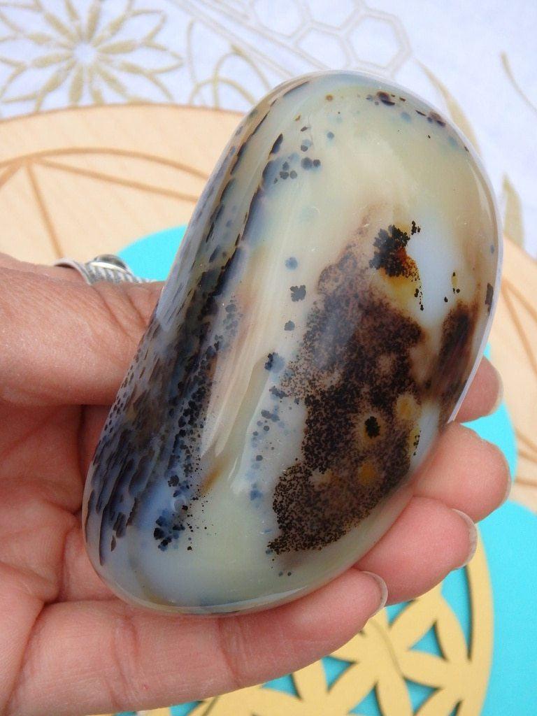 Amazing Patterns & Depth Dendritic Agate Specimen - Earth Family Crystals