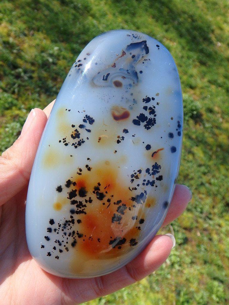 Beautiful Patterns Dendritic Agate Polished Specimen - Earth Family Crystals