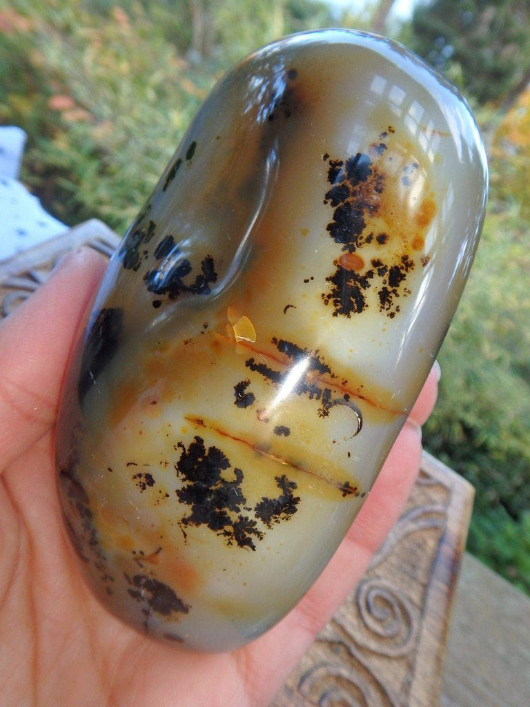 Druzy Cave Fascinating Patterns Dendritic Agate Polished Specimen - Earth Family Crystals