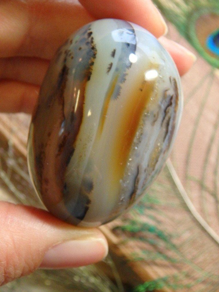Dendritic Agate Specimen 2 - Earth Family Crystals