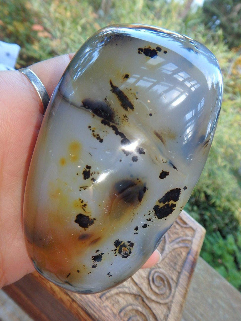 Druzy Cave Fascinating Patterns Dendritic Agate Polished Specimen - Earth Family Crystals