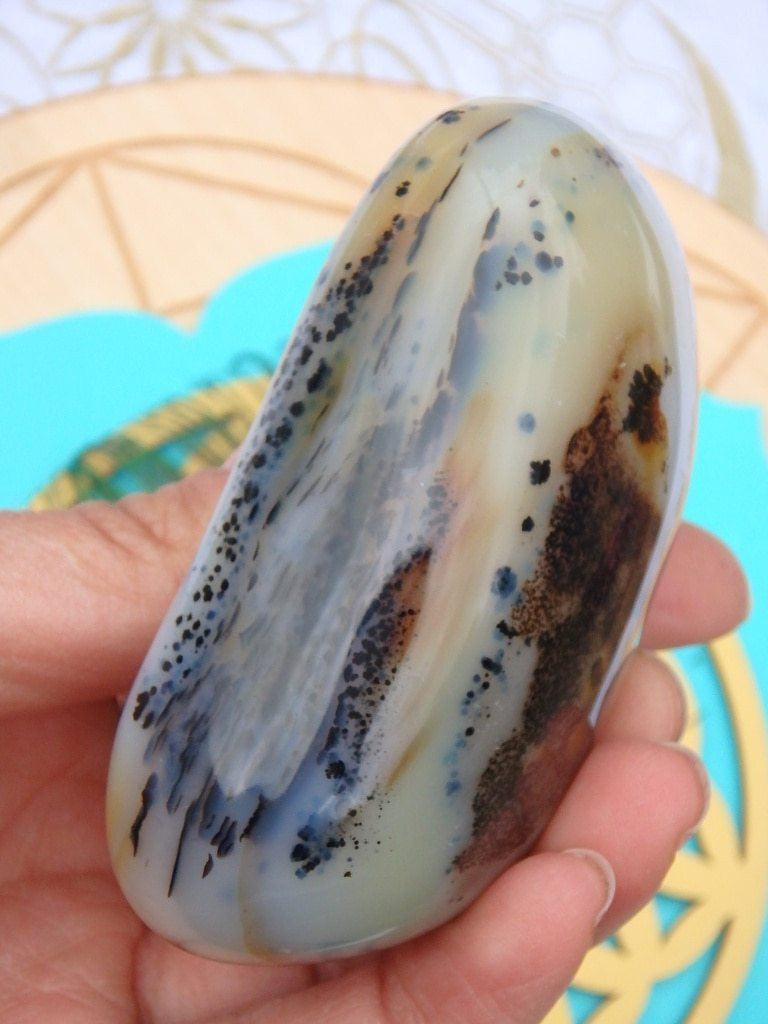Amazing Patterns & Depth Dendritic Agate Specimen - Earth Family Crystals