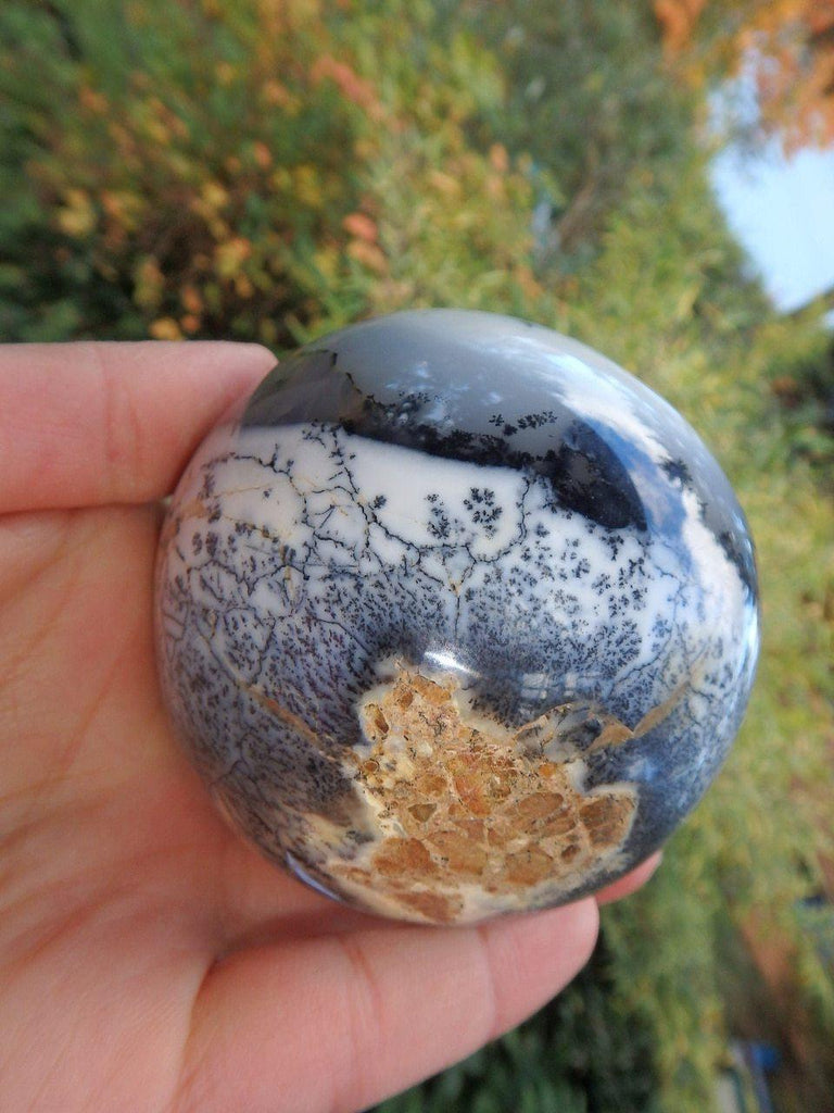 Amazing Contrast Large Dendritic Agate Sphere Carving - Earth Family Crystals