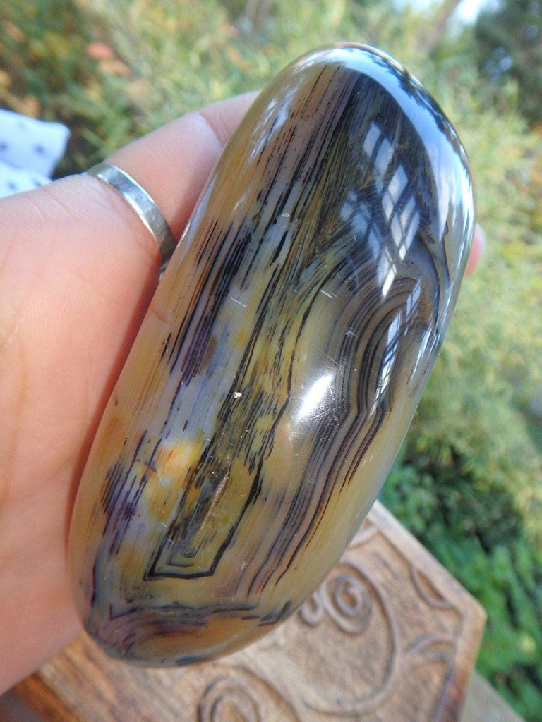 Druzy Cave Fascinating Patterns Dendritic Agate Polished Specimen - Earth Family Crystals