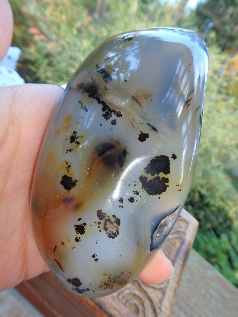 Druzy Cave Fascinating Patterns Dendritic Agate Polished Specimen - Earth Family Crystals