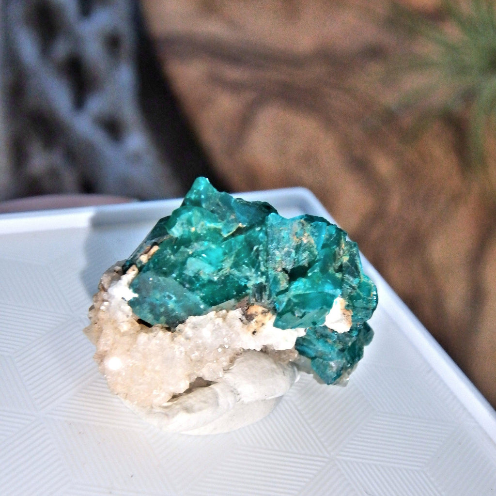 Healing Heart Raw Dioptase in Collectors Box - Earth Family Crystals