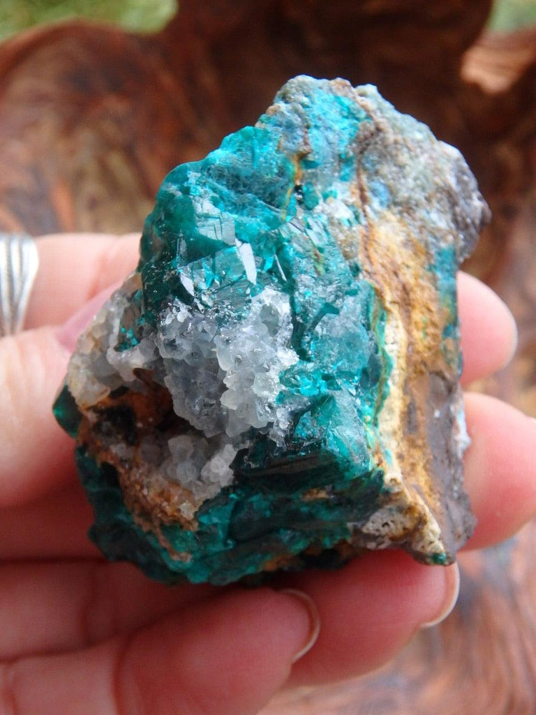 Gorgeous Deep Emerald Green Dioptase Specimen With Quartz Druzy Caves From Zaire - Earth Family Crystals