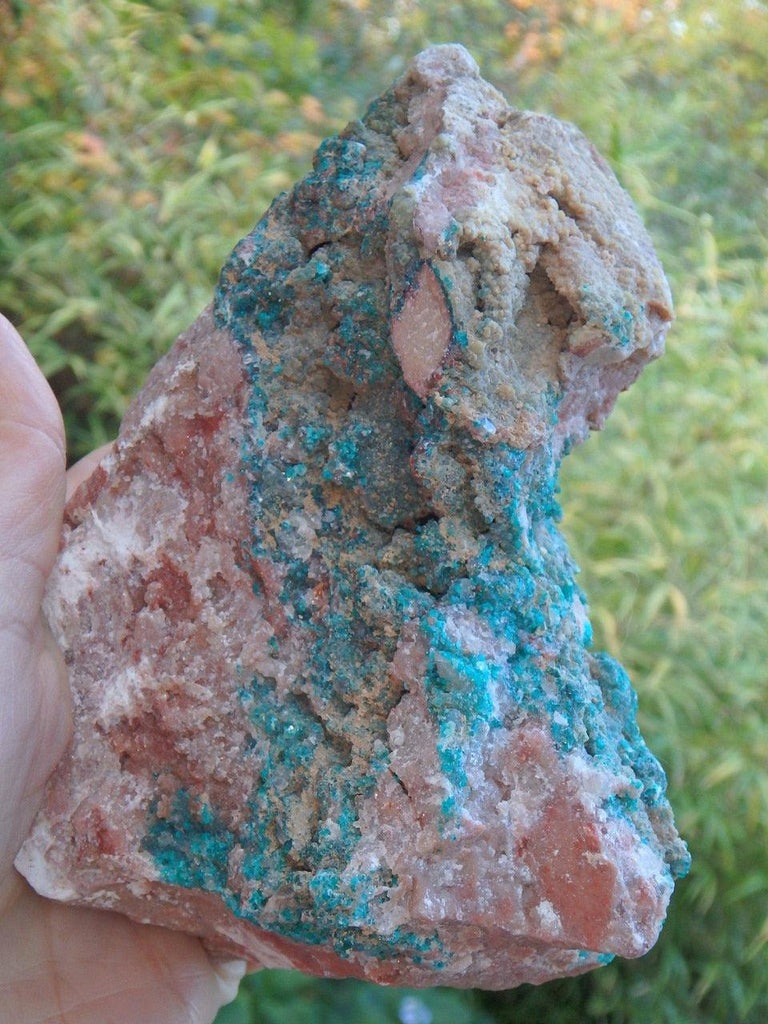 XL Turquoise Green Dioptase Raw Specimen - Earth Family Crystals