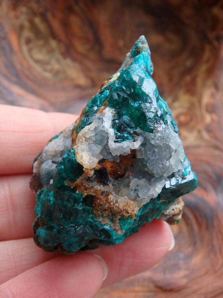 Gorgeous Deep Emerald Green Dioptase Specimen With Quartz Druzy Caves From Zaire - Earth Family Crystals