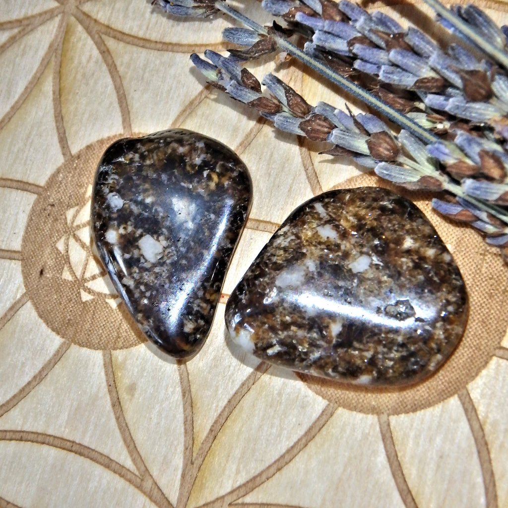 Set of 2 Dravite Tumbled Pocket Stones - Earth Family Crystals