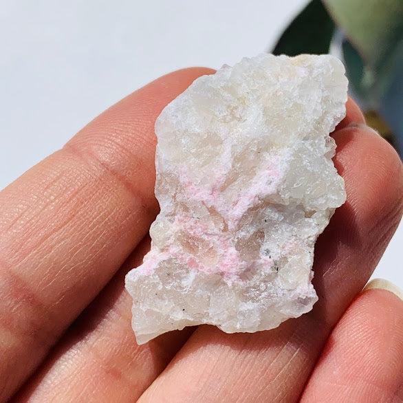 Rare Greenland Tugtupite & White Natrolite Collectors Specimen #2 - Earth Family Crystals
