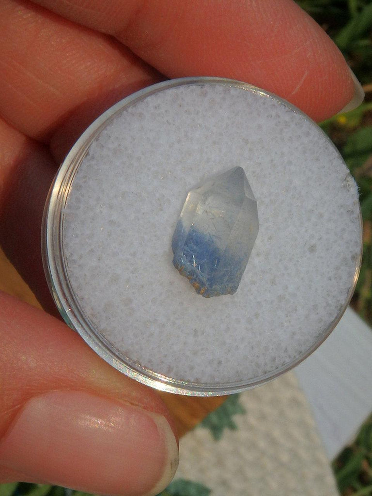 Rare Dumortierite Quartz Point in Collectors Box 1 - Earth Family Crystals