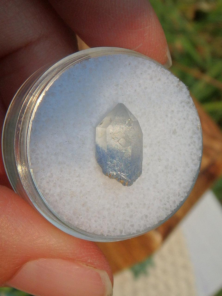 Rare Dumortierite Quartz Point in Collectors Box 1 - Earth Family Crystals