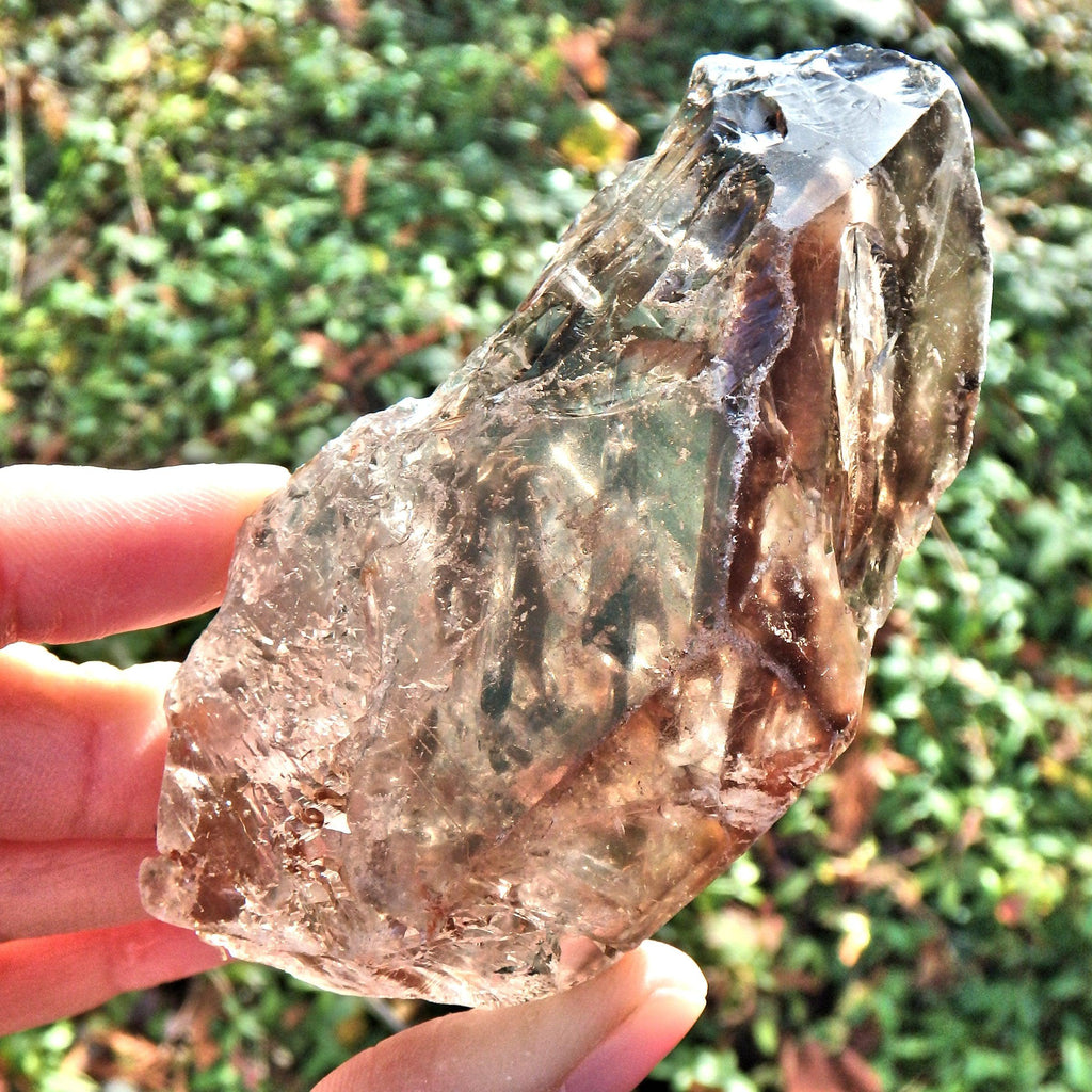Fantastic Growth Patterns  Elestial Smoky Quartz From Brazil - Earth Family Crystals