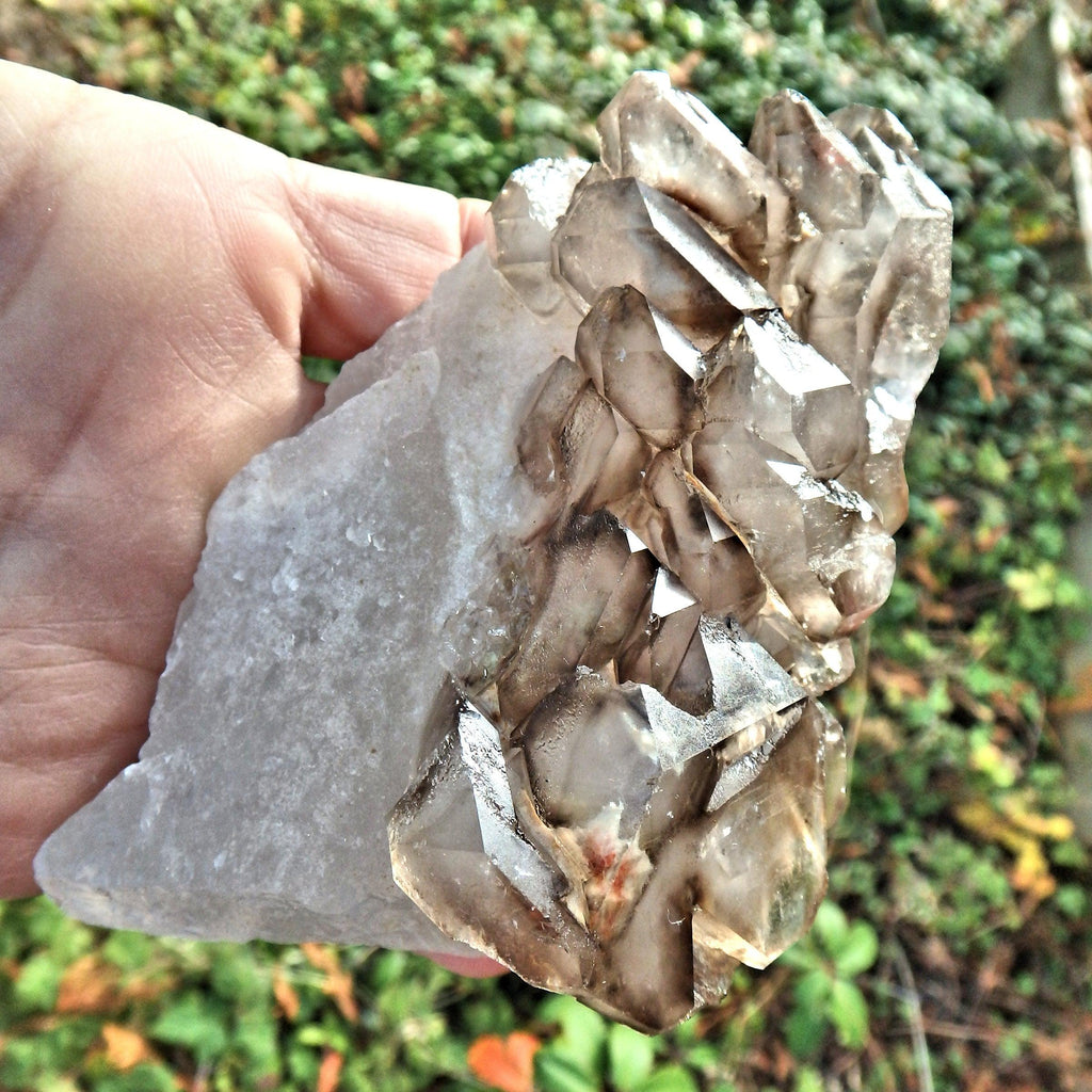 Incredible Chunky  Clear & Elestial Smoky Quartz From Brazil With Self Healing - Earth Family Crystals