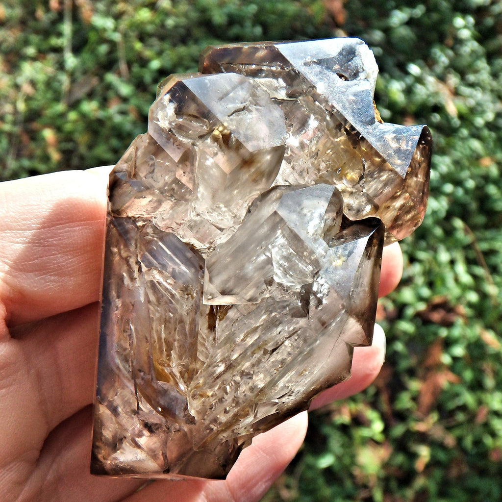 HIgh Vibration Double Terminated  Elestial Smoky Quartz From Brazil With Self Healing - Earth Family Crystals