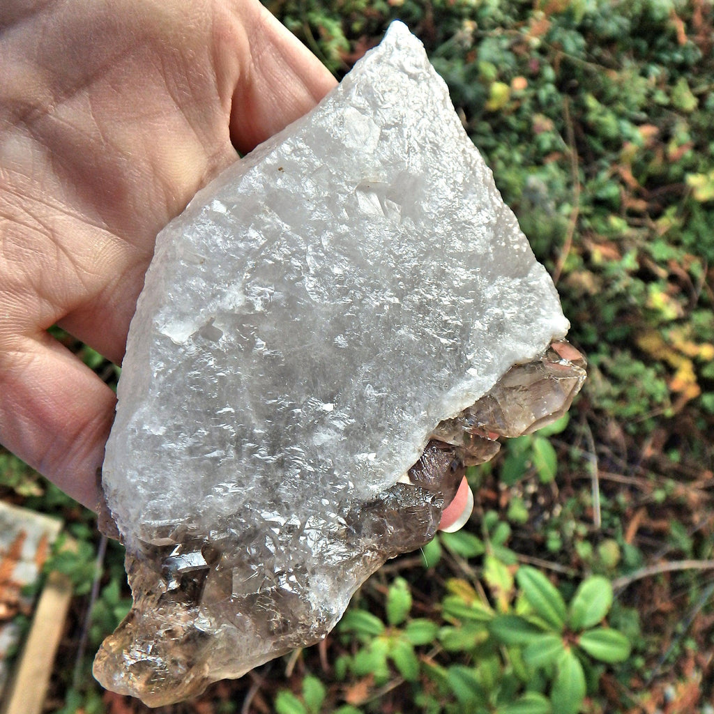 Incredible Chunky  Clear & Elestial Smoky Quartz From Brazil With Self Healing - Earth Family Crystals