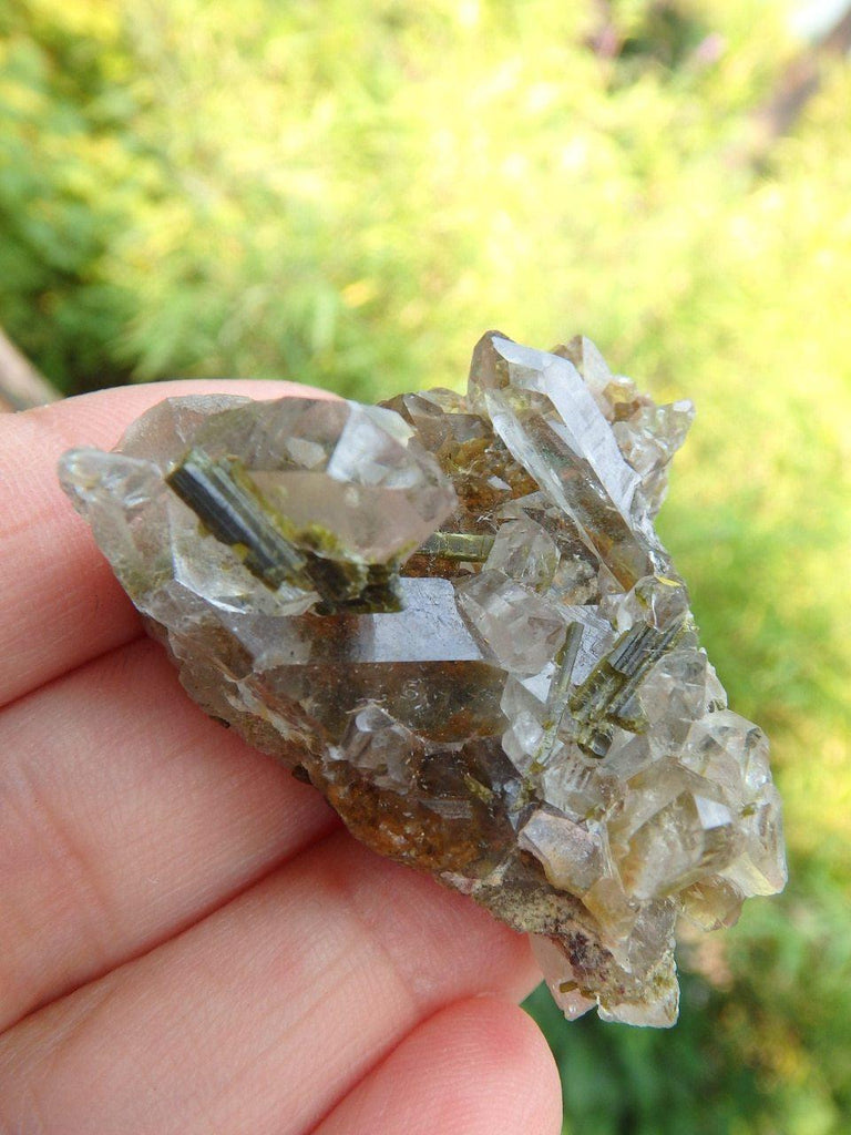 Adorable Clear Quartz & Green Epidote Cluster - Earth Family Crystals