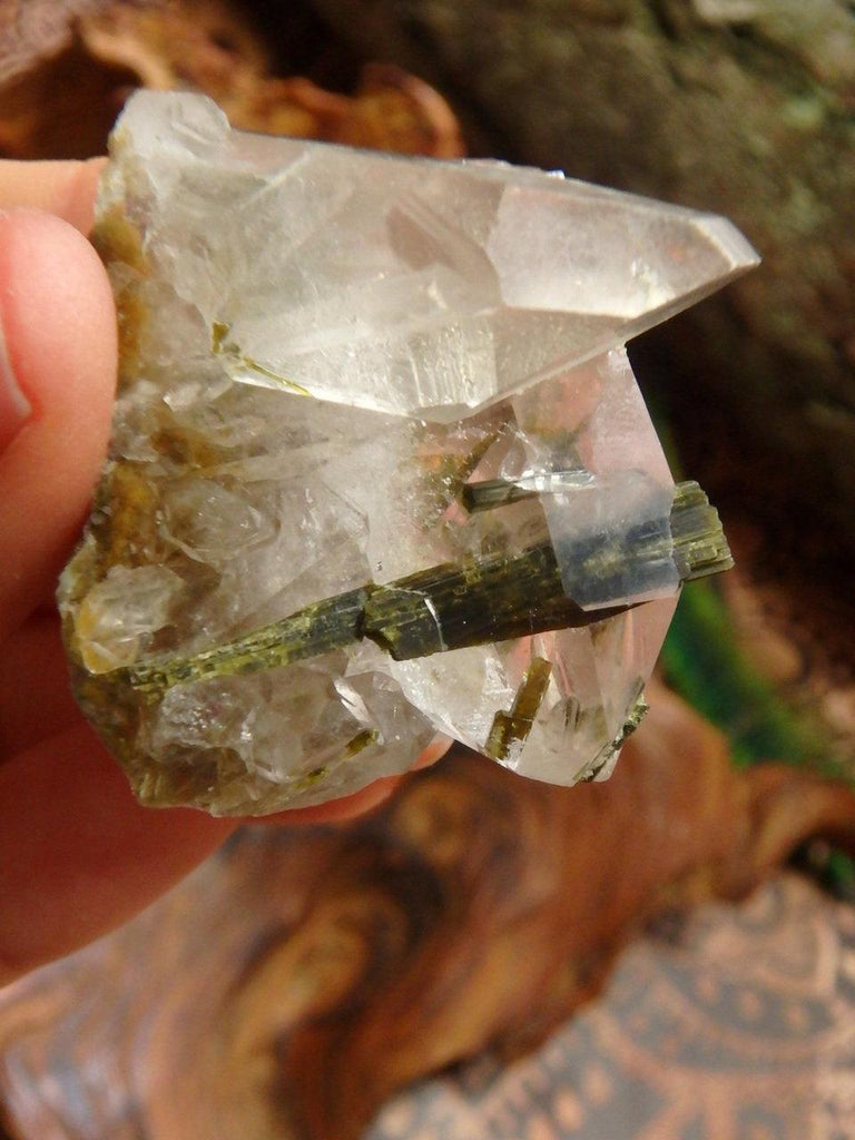 Fabulous Forest Green Epidot Nestled in Clear Quartz Cluster From Brazil - Earth Family Crystals