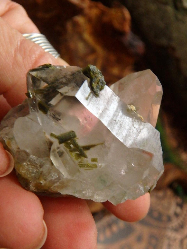 Fabulous Forest Green Epidot Nestled in Clear Quartz Cluster From Brazil - Earth Family Crystals