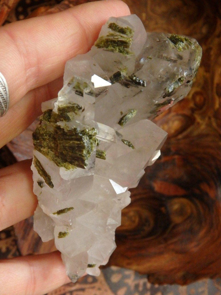 Amazing Brilliance! Large Forest Green Epidot Blades Nestled in Brazilian Clear Quartz Cluster - Earth Family Crystals