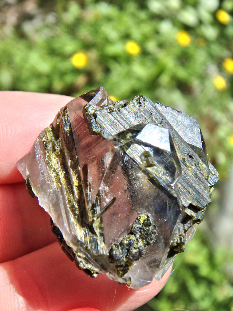 Forest Green Epidote Blades Nestled in Brazilian Quartz Nugget - Earth Family Crystals