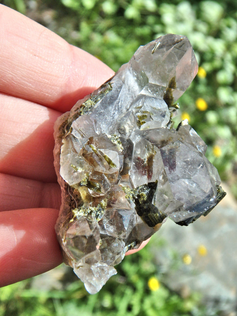 Forest Green Epidote Blades Nestled in Brazilian Quartz Cluster - Earth Family Crystals