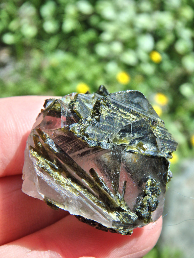 Forest Green Epidote Blades Nestled in Brazilian Quartz Nugget - Earth Family Crystals