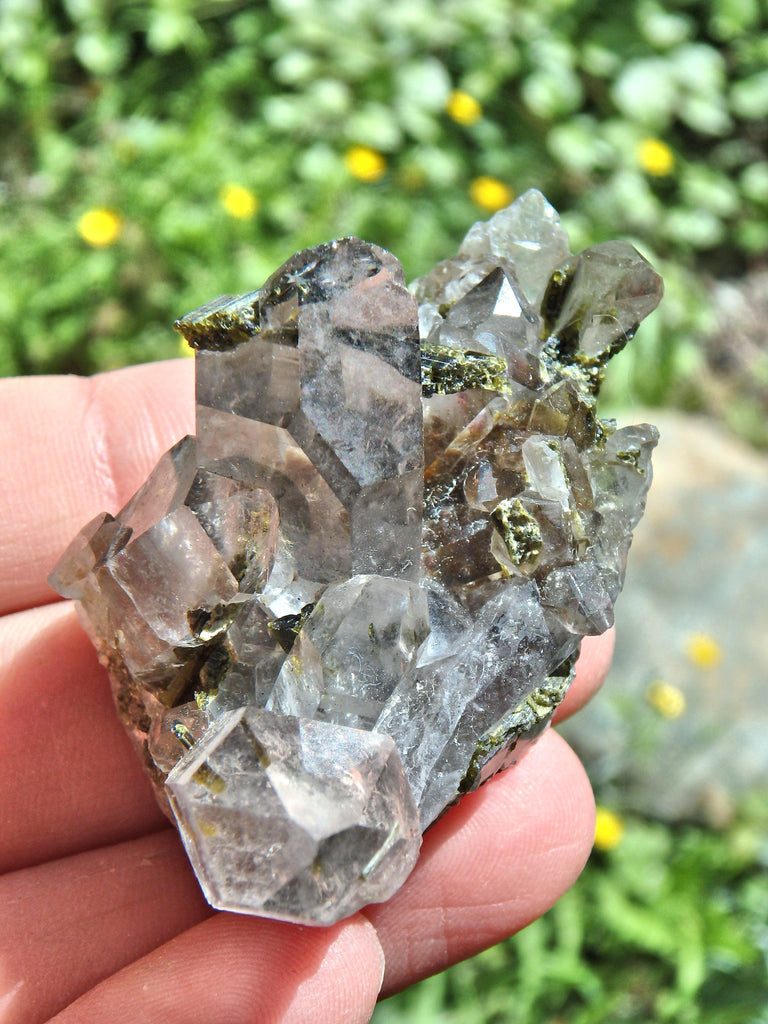 Forest Green Epidote Blades Nestled in Brazilian Quartz Cluster - Earth Family Crystals