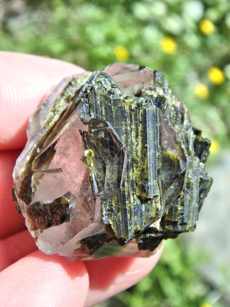 Forest Green Epidote Blades Nestled in Brazilian Quartz Nugget - Earth Family Crystals