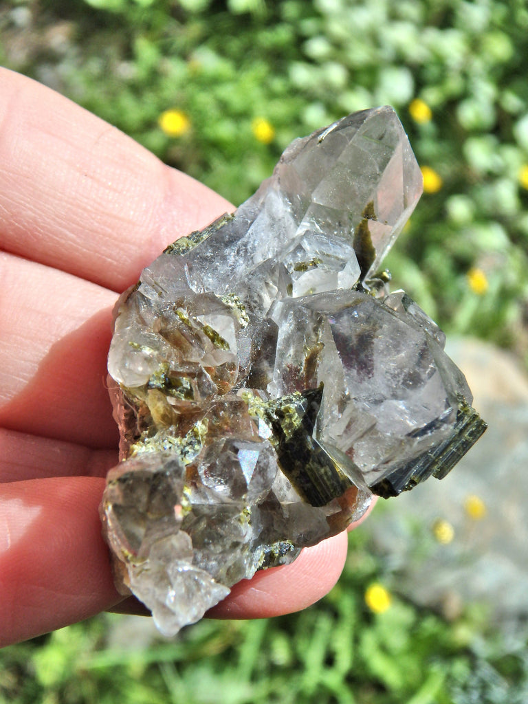 Forest Green Epidote Blades Nestled in Brazilian Quartz Cluster - Earth Family Crystals