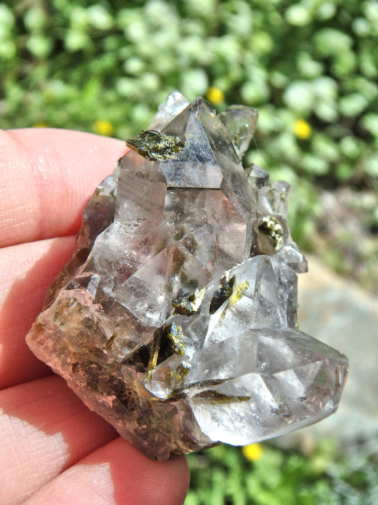 Forest Green Epidote Blades Nestled in Brazilian Quartz Cluster - Earth Family Crystals