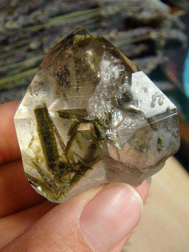 Collectors Specimen~ Stunning Dark Green Epidote In Quartz  From Brazil - Earth Family Crystals