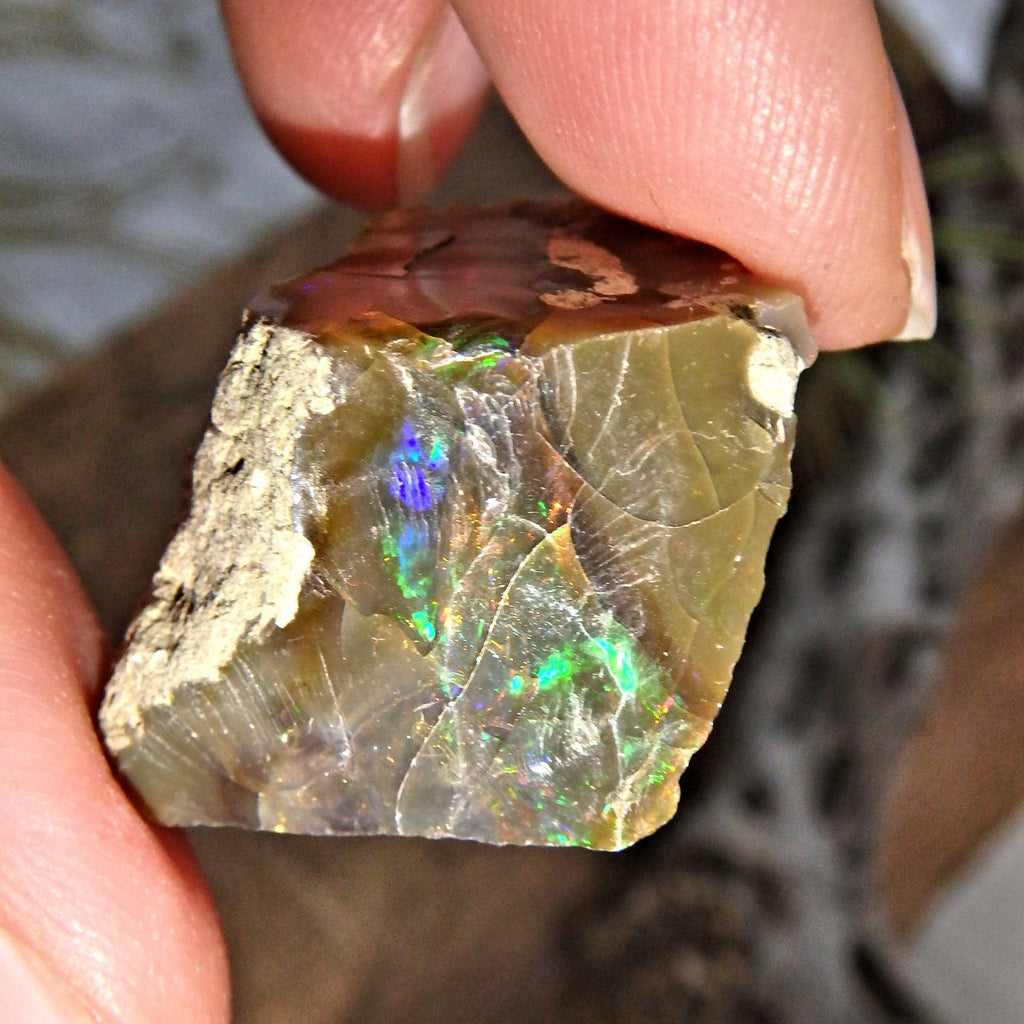 Incredible Rainbow Sparkle Flash Chocolate Brown Ethiopian Opal Raw Specimen - Earth Family Crystals