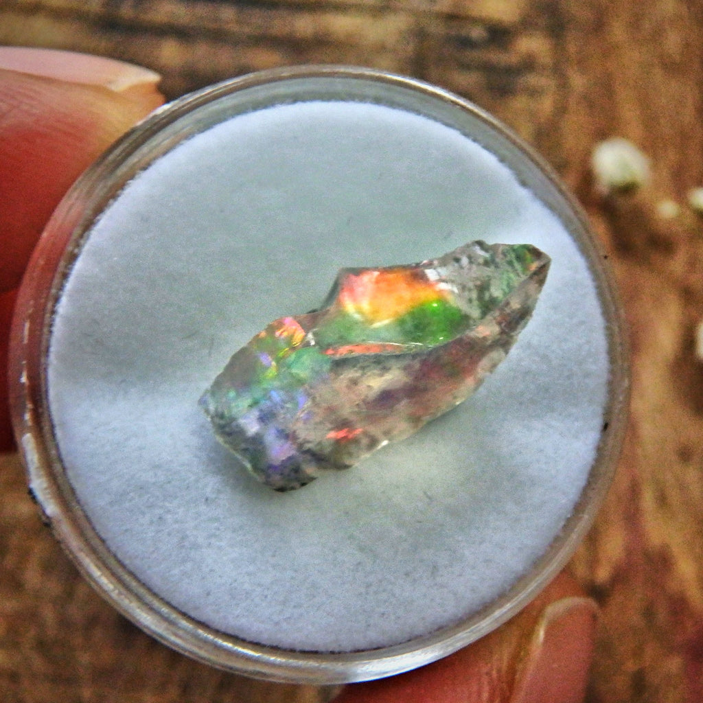 Rainbow Flashes Raw Ethiopian Opal in Collectors Box - Earth Family Crystals