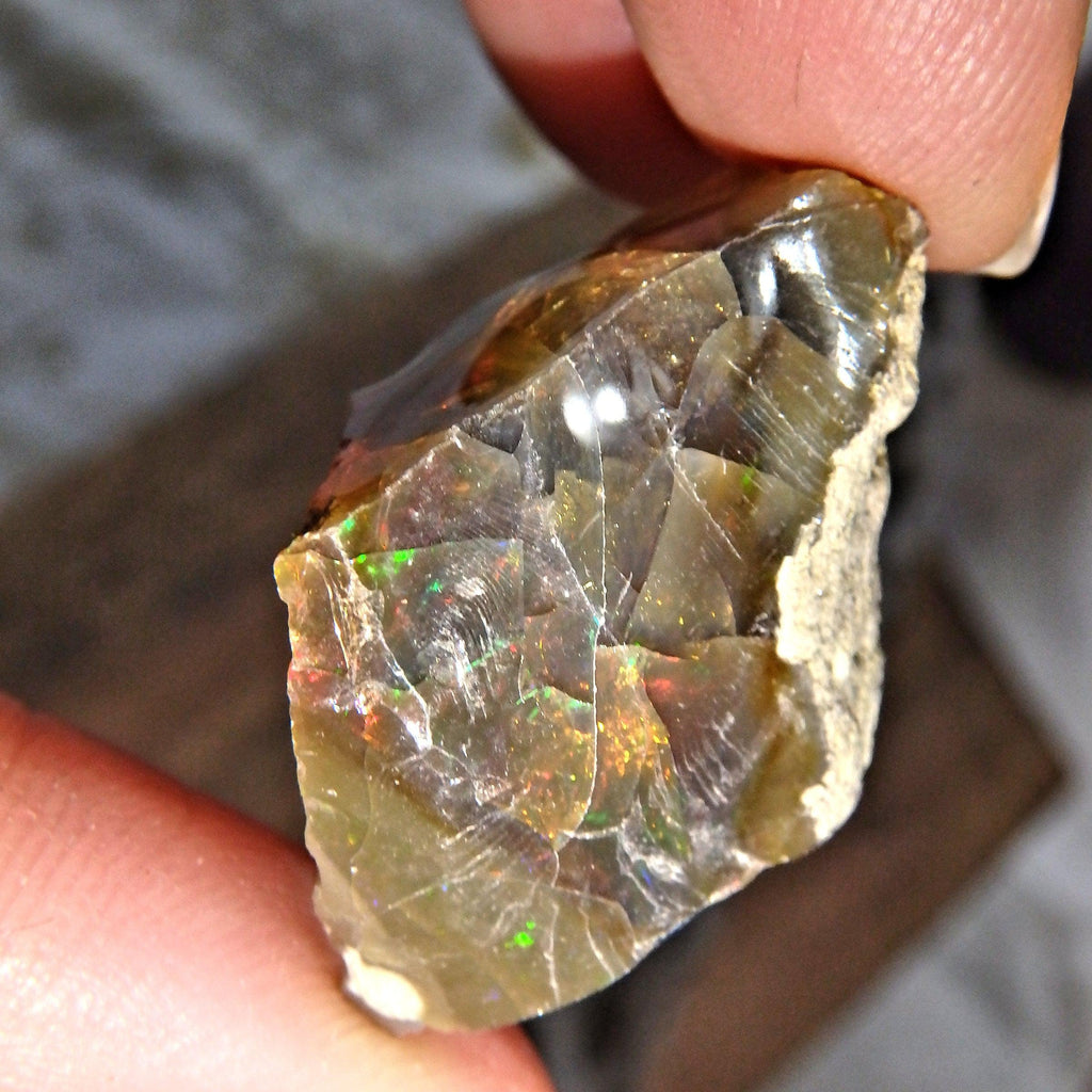 Incredible Rainbow Sparkle Flash Chocolate Brown Ethiopian Opal Raw Specimen - Earth Family Crystals
