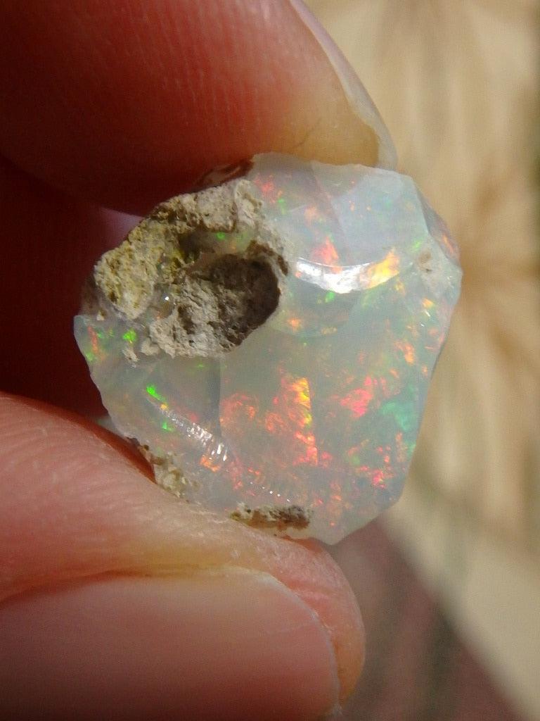 Gorgeous Ethiopian Opal Specimen 11 - Earth Family Crystals