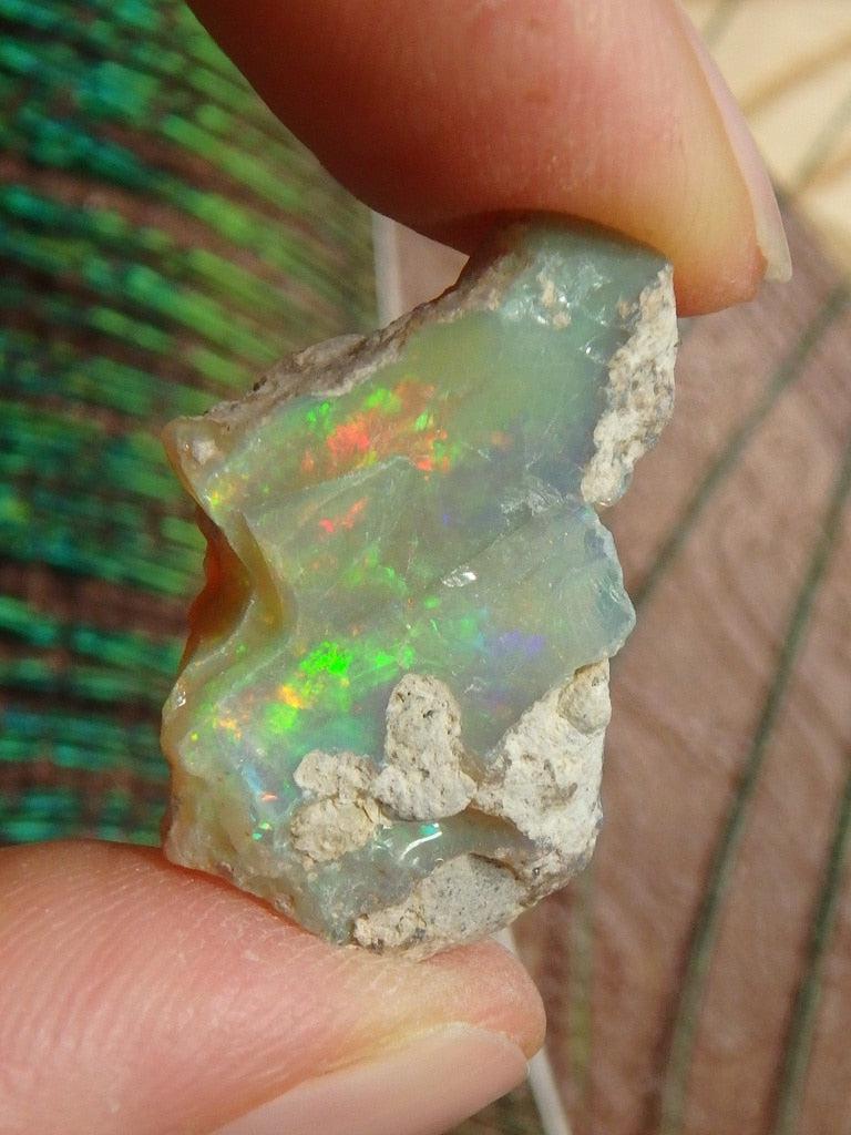 Gorgeous Ethiopian Opal Specimen 17 - Earth Family Crystals