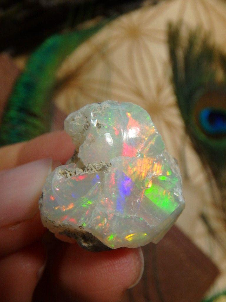 AA Grade Massive Flash! Fine Ethiopian Opal Collectors Specimen - Earth Family Crystals