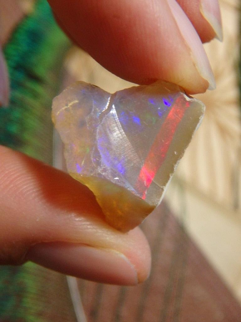 Gorgeous Ethiopian Opal Specimen 7 - Earth Family Crystals