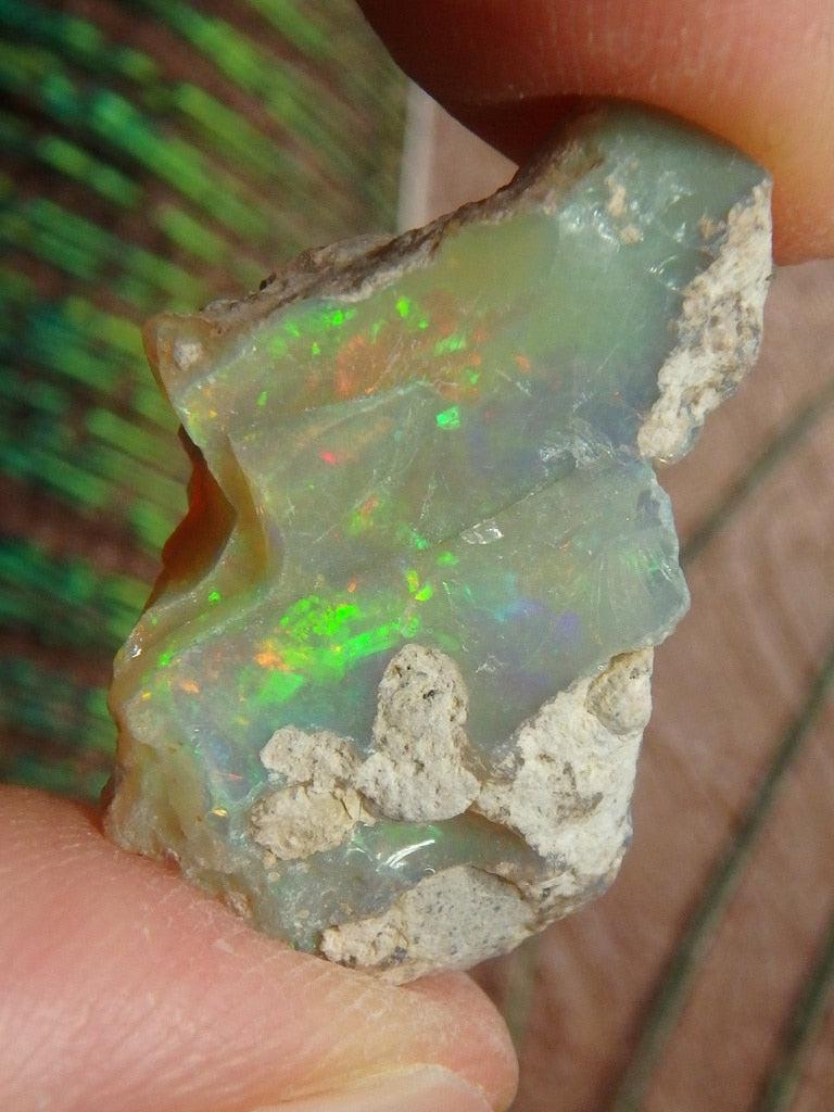 Gorgeous Ethiopian Opal Specimen 17 - Earth Family Crystals