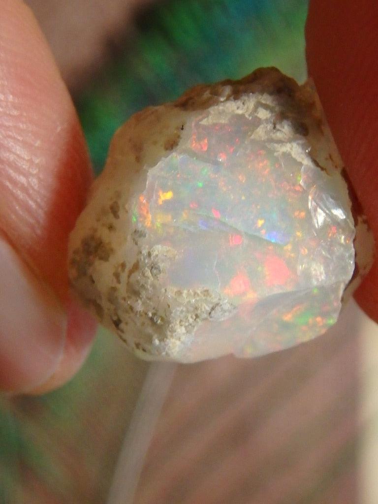 Gorgeous Ethiopian Opal Specimen 11 - Earth Family Crystals