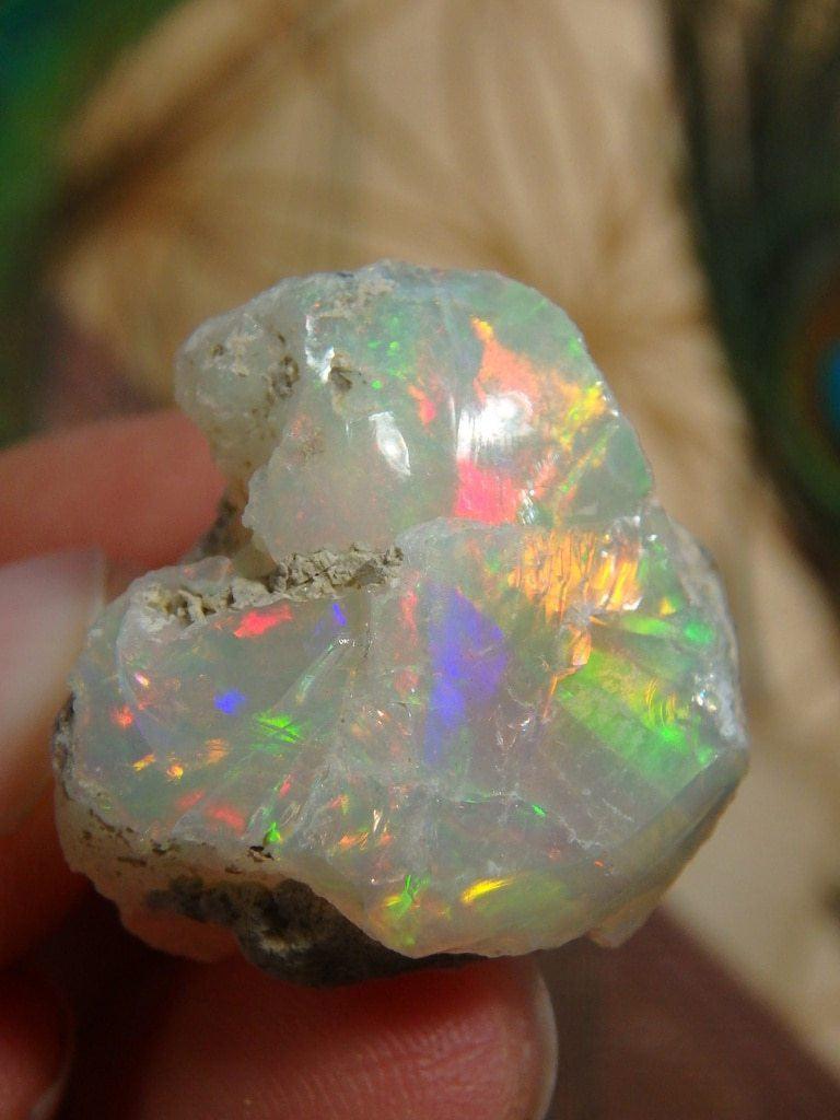 AA Grade Massive Flash! Fine Ethiopian Opal Collectors Specimen - Earth Family Crystals